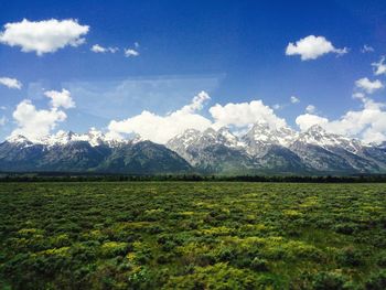 Countryside landscape against mountain range