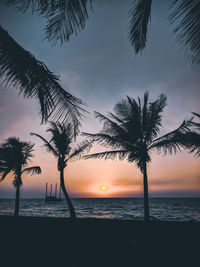 Silhouette palm tree by sea against sky during sunset