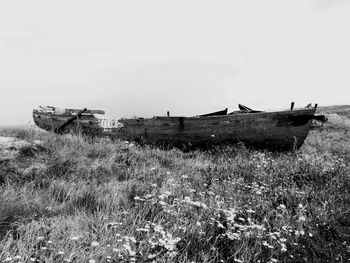 View of grassy field against sky