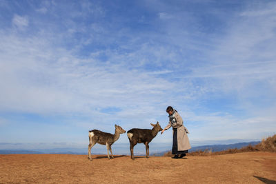 Horses on field against sky