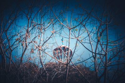 Bare trees against sky