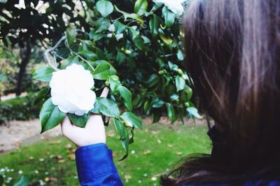 Woman holding flower tree