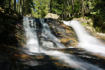 Scenic view of waterfall in forest