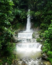 Waterfall in a forest