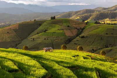 High angle view of dramatic landscape