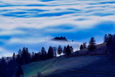 Road by trees against sky