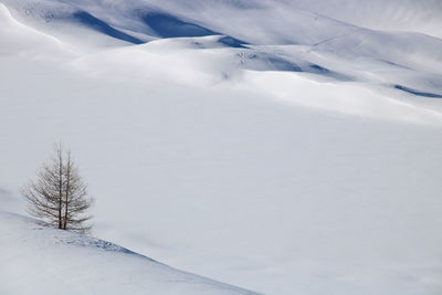 winter