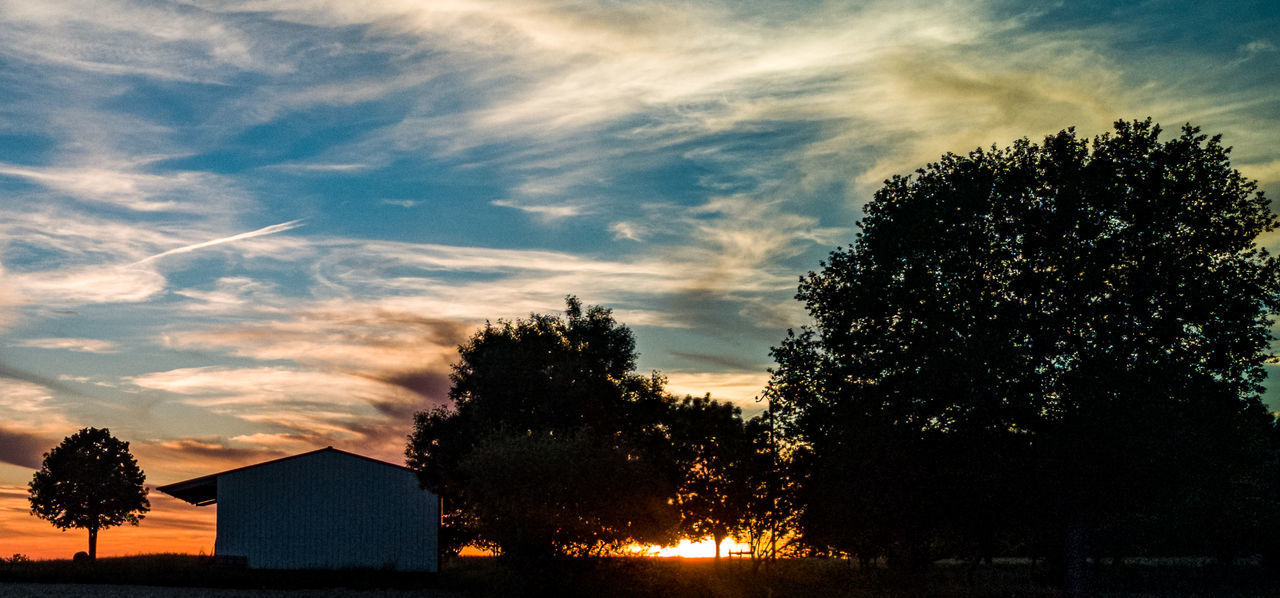 SILHOUETTE TREES AND BUILDING AGAINST SKY AT SUNSET