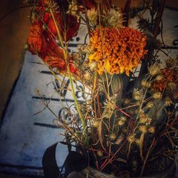 Close-up of flowers against blurred background