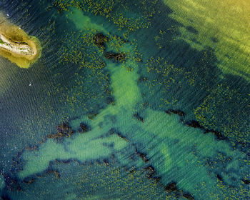 Full frame shot of water on land