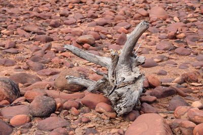 Close-up of pebbles on beach