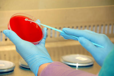 Cropped image of scientist doing experiment in petri dish