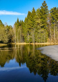 Scenic view of lake in forest against sky