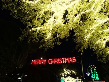 Low angle view of illuminated text on tree at night