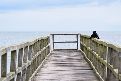 Pier over sea against sky