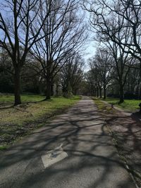 View of bare trees against sky