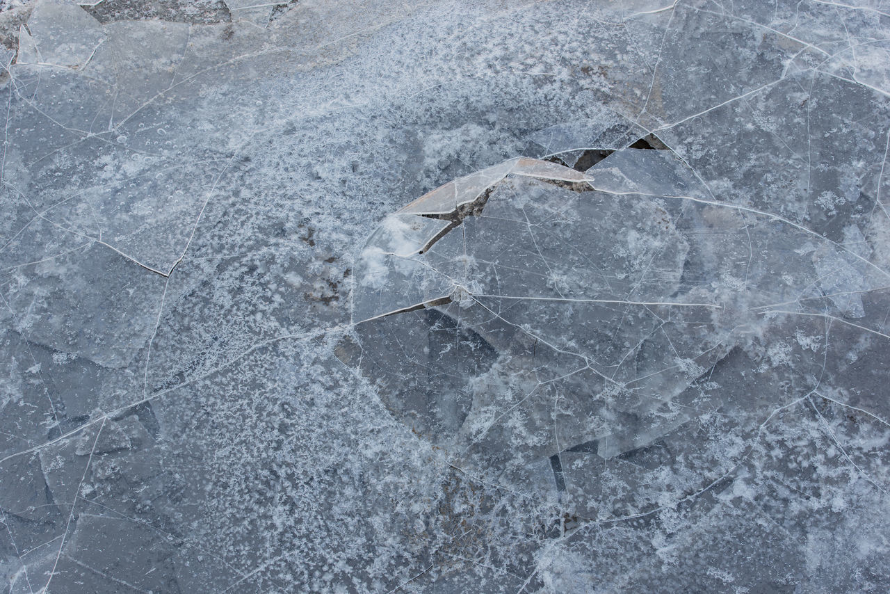 CLOSE UP OF CRACKED LEAF