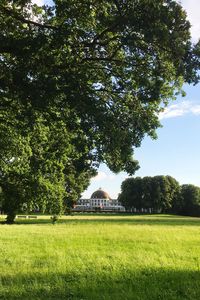 Trees on field against sky