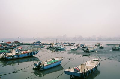 Boats moored in harbor