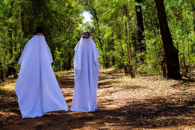 Panoramic view of trees on field