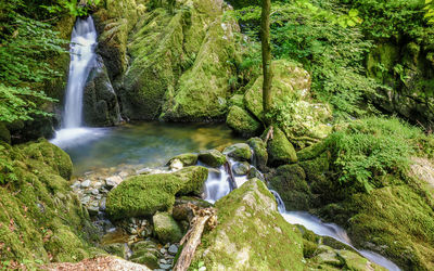 Scenic view of waterfall in forest