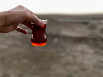 Close-up of human hand holding drink on field