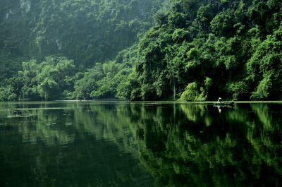 Scenic view of lake amidst trees in forest