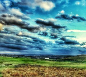 Scenic view of field against sky