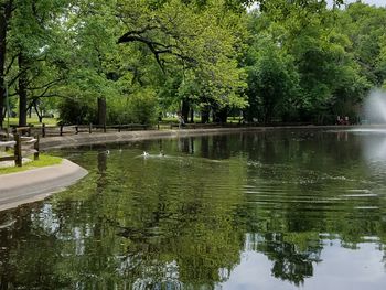 Scenic view of lake by trees against sky