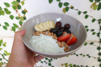 High angle view of person holding breakfast