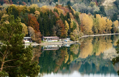 Scenic view of lake in forest during autumn