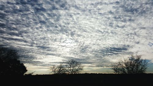 Silhouette of trees on landscape against cloudy sky