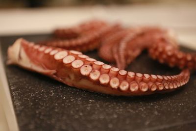 High angle view of octopus tentacles in plate