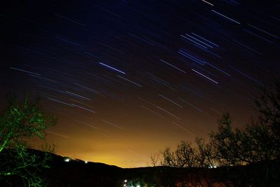 Silhouette trees against star field at night