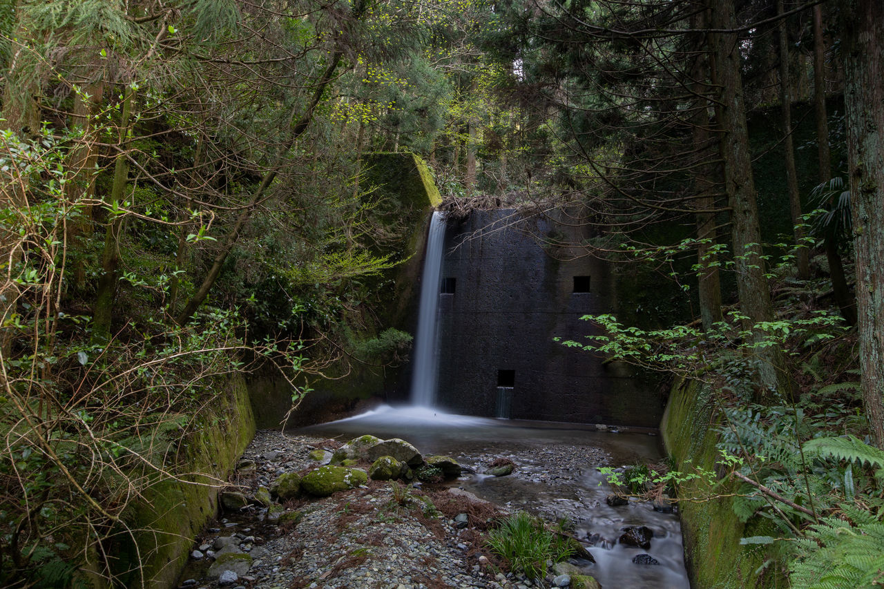 VIEW OF WATERFALL ALONG TREES