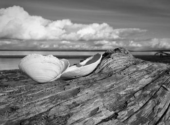 Close-up of bread on wood against sky