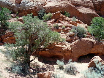 Scenic view of waterfall