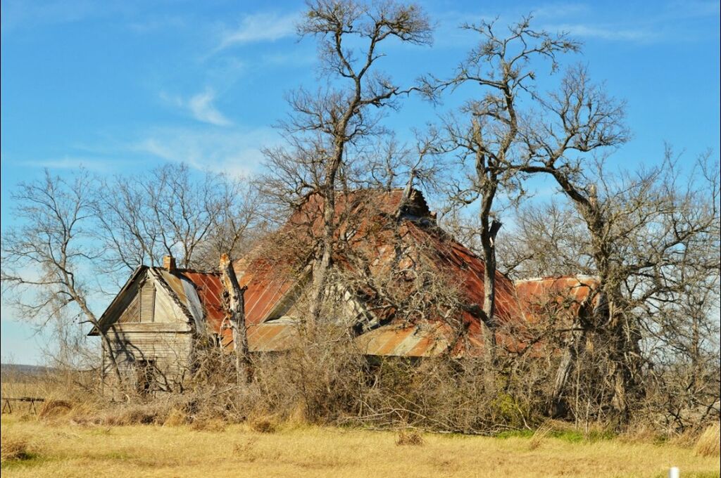 bare tree, tree, built structure, architecture, sky, abandoned, building exterior, field, house, old, obsolete, landscape, deterioration, damaged, barn, run-down, branch, rural scene, wood - material, nature