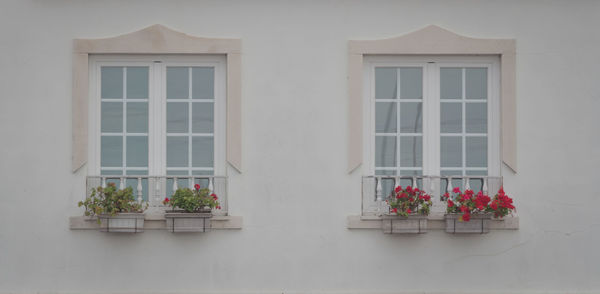 Flowers on window of house