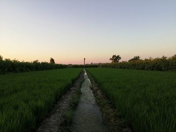 Dirt road amidst field against sky during sunset