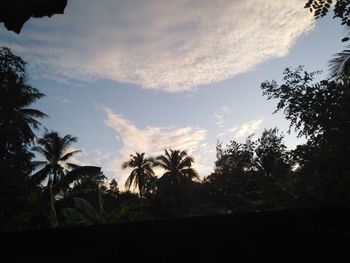 Scenic view of silhouette trees against sky at sunset