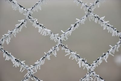 Close-up of snow on metal fence during winter