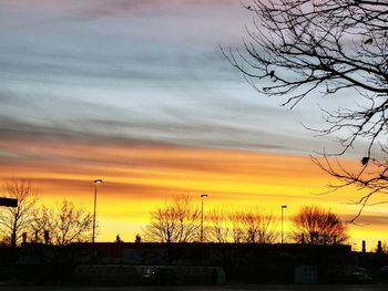 Silhouette trees against sky during sunset