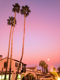 Low angle view of palm trees and building against sky