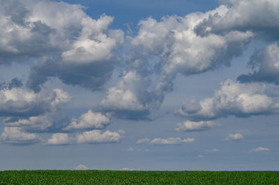 Scenic view of field against sky