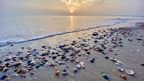 Scenic view of sea during sunset