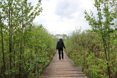 Rear view of man walking on footpath amidst trees against sky
