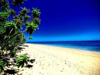 Scenic view of sea against clear blue sky