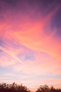 Low angle view of silhouette trees against sky during sunset