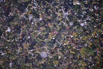 Full frame shot of sunlight